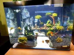 My New Project Diy Fish Tank With Waterfall In 2020 Diy Fish Tank Fish Tank Diy Projects