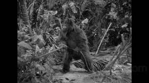 Africa Screams Blu-ray (Special Limited Edition of 2,500 Units)