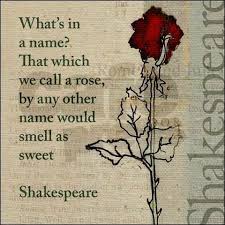 Pin By Juli On Quotes In 2020 Famous Shakespeare Quotes Shakespeare Love Quotes Rose Quotes