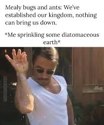 Check spelling or type a new query. Diatomaceous Earth Ftw Plantisbae
