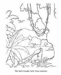 Keep your kids busy doing something fun and creative by printing out free coloring pages. 7 Days Of Creation Coloring Pages 6th Day Of Creation Colouring 2021 09 Coloring4free Coloring4free Com