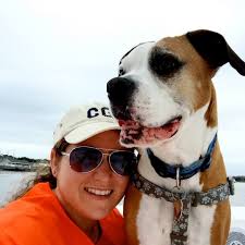 Who can provide home cat grooming services for a skittish cat in Cohasset?