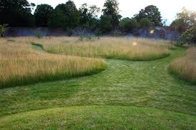 Dan Pearson Studio Landscape Design Garden Design Plants