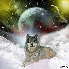 The first of these astrological occurrences to take place in 2021 is called the wolf moon. Full Wolf Moon January 1 2018 In Cancer Cherokee Billie Spiritual Advisor
