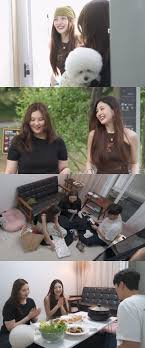 뉴시스 - News update