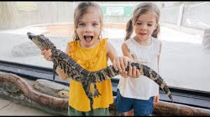 Low Prices Make For Slow Alligator Season In Louisiana