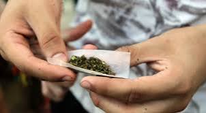 Crece el consumo de marihuana en jóvenes entrerrianos: “Se naturaliza que  no hace daño, cuando deja consecuencias…” En Argentina, 1 de cada 3 jóvenes  de 16 o más años, consumió alguna vez