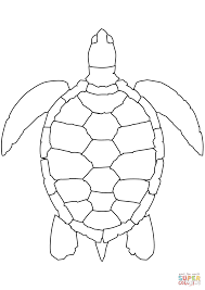 Sea Turtle Coloring Page Free Printable Coloring Pages Turtle Coloring Pages Turtle Outline Turtle Drawing Turtle shape outline (page 1) turtle outlines free download on clipartmag sea turtle shape honu craft outlines hawaii baby mobile turtle coloring pages turtle outline