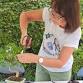 Create A Bonsai Experience event image