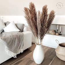 Naturalz Pampasgras Getrocknet Deko Gras Gross Pampas Grass Lang Braun Getrocknete Trockenblumen Gross Get Room Inspo Einrichten Und Wohnen Inneneinrichtung
