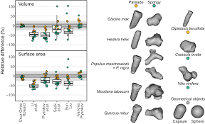 Image result for Pearsonia mesopontica