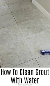 How To Clean Grout With Water The Easiest Cheapest Way To Clean Grout Life Should Cost Less Grout Cleaner House Cleaning Tips Clean Tile Grout