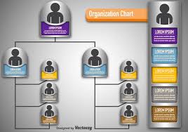 Vector Modern Organization Chart Download Free Vectors