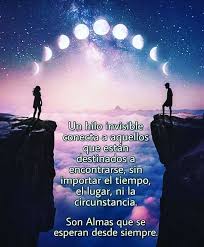 Conectar Sentir Aceptar Amar Agradecer Amorpropio Amore Amor Vive Vida Agradecer Confiar Reflexi Imagenes Positivas Reflexiones Reflexiones Positivas