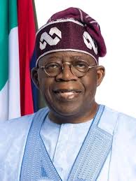 LET'S INTERROGATE TINUBU'S REFORMS Each time President Bola Ahmed Tinubu's  policies or governance record are evaluated or constructively criticized,  the usual response from his media handlers and supporters is personal  attacks, propaganda,