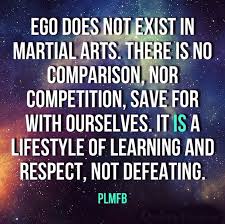 Fashionjitsusays Me Martialarts Has No Room For Ego Training Requires Respect And Control So We Learn Injury Quotes Competition Quotes Recovery Quotes