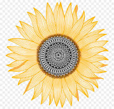 Drawing Of Family Png Download 1078 1024 Free Transparent Mandala Png Download Cleanpng Kisspng Similar with mandala design png. free transparent mandala png download