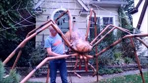 We're totally obsessed with this outdoor halloween decorating look. Giant Halloween Spider Youtube