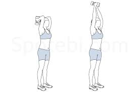 Dumbbell Triceps Extension Illustrated Exercise Guide