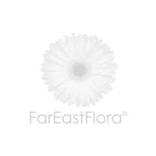 So items such as cheeses and fruits are out of the question. Flower Delivery Fareastflora Com Number 1 Online Florist In Singapore