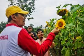 Tutorial kanzashi bentuk bunga mataharisemoga bermanfaatmei enjoy the videos and music you love, upload original content, and share it all with friends, family, and the world on youtube. Goriau Belajar Dari Youtube Muslim Ubah Lahan Kosong Jadi Destinasi Wisata Unggul Di Pekanbaru
