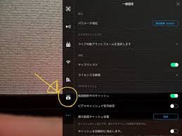Dji Go 4 マニュアル 説明書 ジンバルの設定方法 Mavic Air編 ドローンblog