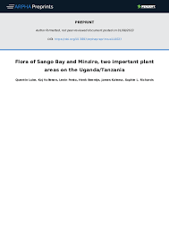 Image result for Triumfetta setulosa