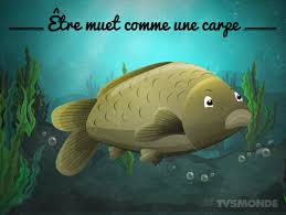 Etre Muet Comme Une Carpe Ne Pas Dire Un Mot Rester Silencieux Expressions Francaises Expressions Idiomatiques Expressions
