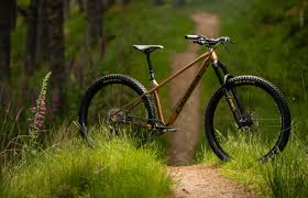 Image result for Orbea knobelii