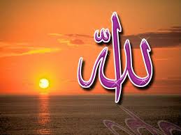 images?q=tbn:ANd9GcS
