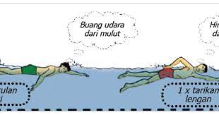 Gerakan meluncur dilakukan dengan posisi badan sejajar. Teknik Pernapasan Renang Gaya Bebas Maolioka