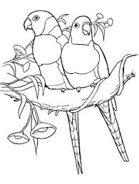 Red Collared Lorikeets Coloring Page Supercoloring Com Bird Coloring Pages Animal Coloring Pages Butterfly Coloring Page