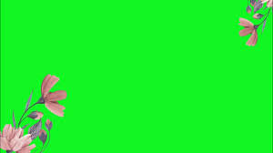 10 cara membuat desain undangan pernikahan. Green Screen Bunga Undangan Pernikahan Digital Wedding Invitation Youtube