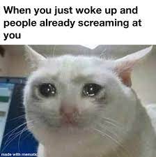 I M Not Even Awake Memes