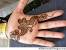 Easy Simple Mehndi Designs For Kids Front Hand