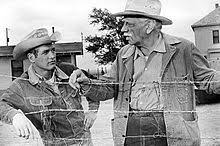 Mcmurtry's friendship with kesey lasted for years. Larry Mcmurtry Wikipedia