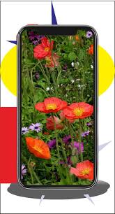 Aesthetics digital wallpaper, vaporwave, kanji, chinese characters. Aesthetic Flower Wallpaper For Android Apk Download