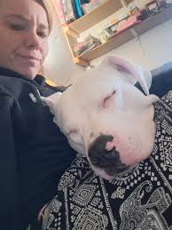 Female American pitbull terrier puppy, need an anew home!