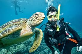 Things People Say After Seeing The Great Barrier Reef About Australia