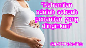 More images for kata bijak untuk ibu yang bekerja » Kata Kata Mutiara Tentang Ibu Hamil Yang Membahagiakan Jiwa Captionkata Com 2021 Caption Dp Bbm Kata Bijak Terbaru