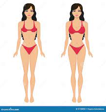 Vector Cartoon Girl Breasts before and after Stock Vector - Illustration of  cute, beautiful: 97108892