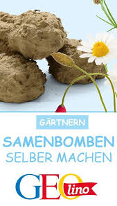 Pin Auf Projekt Erde