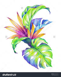 Check spelling or type a new query. Watercolor Tropical Leaves And Flowers Novocom Top