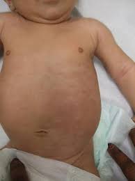 Image result for Harlequin Color Change