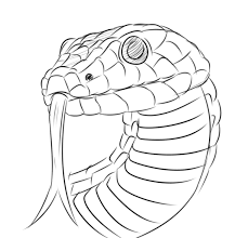 All the best realistic snake drawing 33+ collected on this page. Realistic Snake By Delightfuldiamond7 On Deviantart