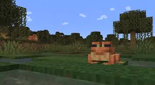 How can i play on a minecraft server? Frogs Are Coming To Minecraft Pc Gamer