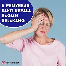 Apabila anda mengklik pada titik sakit atau membelokkan kepalanya, sakit kepala okipital dirasai. Buchangtoutongningcapsule Instagram Posts Gramho Com