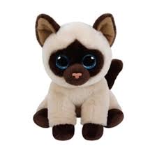 Finden sie alle informationen über die siamkatze im zooplus magazin! Ty Jaden Siamkatze 15cm Fix3 Beanie Babies Kaufland De