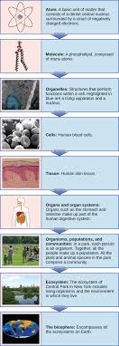 1 1 themes and concepts of biology concepts of biology