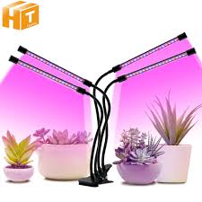 Maybe you would like to learn more about one of these? Timing Dimmable Led Grow Light Usb Plant Lamp Full Sepectrum Phyto Clip Lamp For Hydroponic Vegetable Flower Indoor Shopee Malaysia